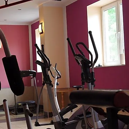 Resort Karczma Pod Mlynem Katowice