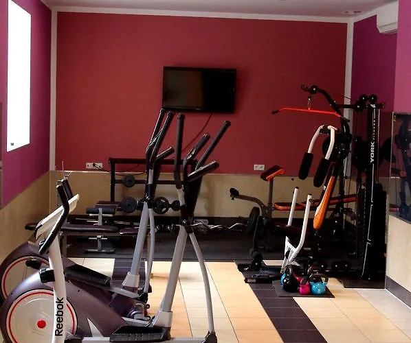 Resort Karczma Pod Mlynem Katowice